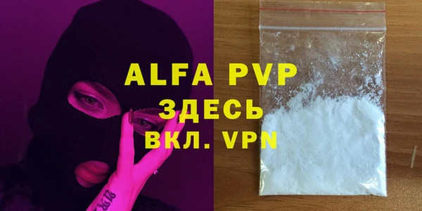 дживик Бородино