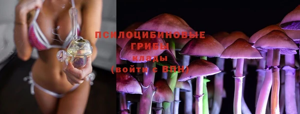 дживик Бородино