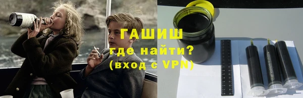 дживик Бородино