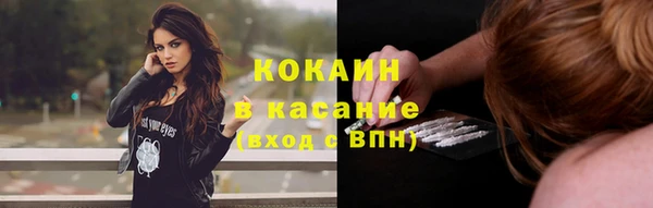 дживик Бородино