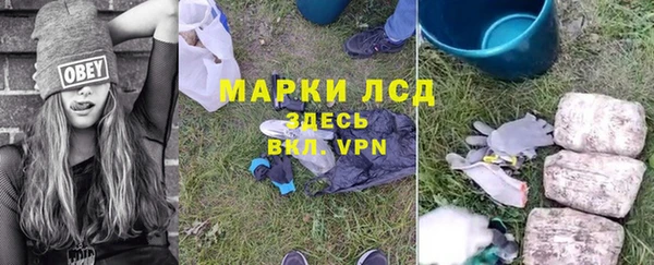 дживик Бородино