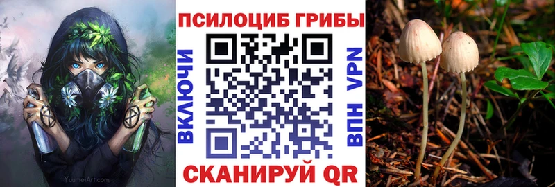 закладки  Бийск  Галлюциногенные грибы MAGIC MUSHROOMS 